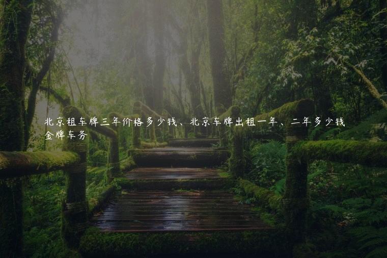 北京租车牌三年价格多少钱、北京车牌出租一年、二年多少钱