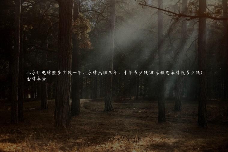 北京租电牌照多少钱一年、京牌出租三年、十年多少钱(北京租电车牌照多少钱)