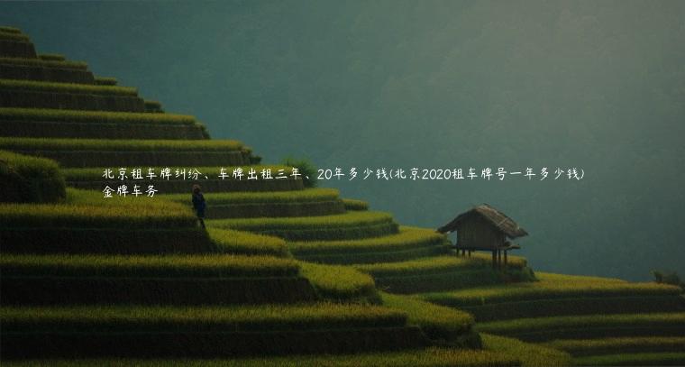 北京租车牌纠纷、车牌出租三年、20年多少钱(北京2020租车牌号一年多少钱)