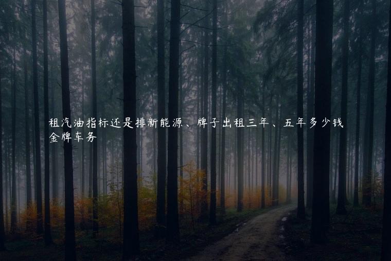 租汽油指标还是排新能源、牌子出租三年、五年多少钱