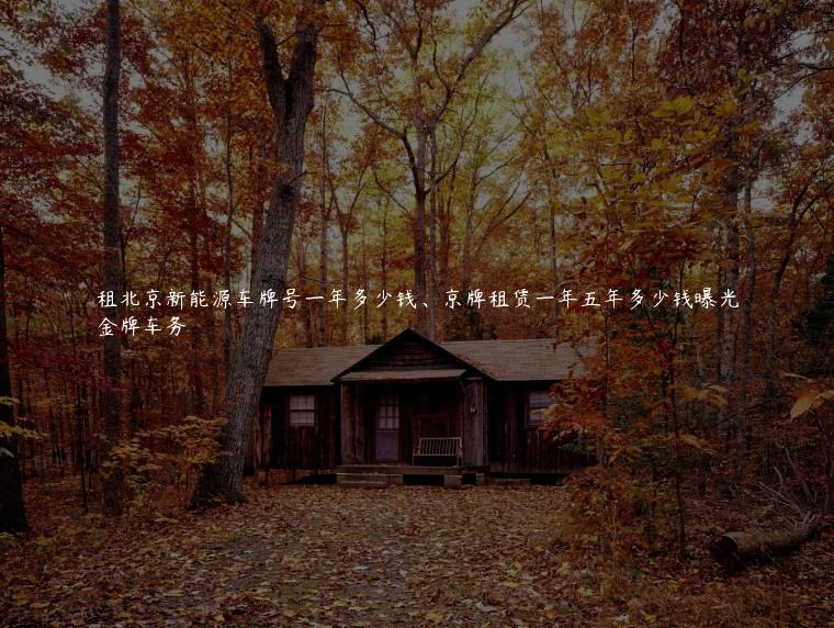 租北京新能源车牌号一年多少钱、京牌租赁一年五年多少钱曝光