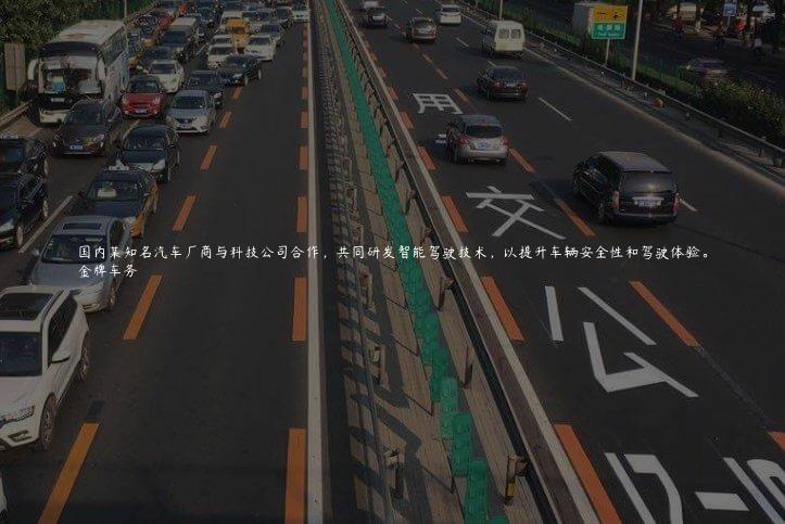 国内某知名汽车厂商与科技公司合作，共同研发智能驾驶技术，以提升车辆安全性和驾驶体验。
