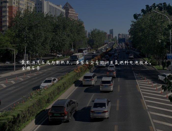 氢能源汽车成为新热点，多家车企开始研发氢燃料电池技术。