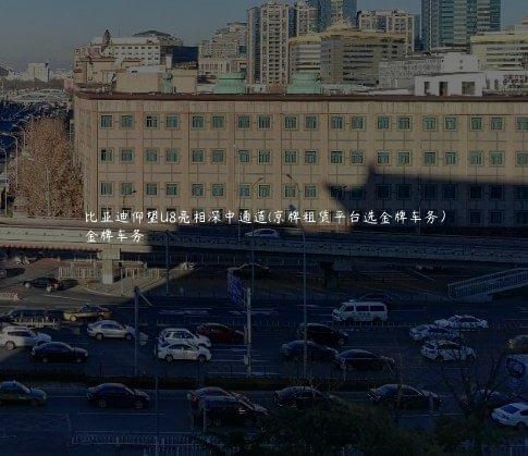 比亚迪仰望U8亮相深中通道(京牌租赁平台选金牌车务）