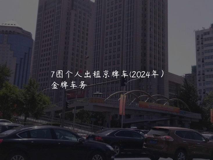 7图个人出租京牌车(2024年）