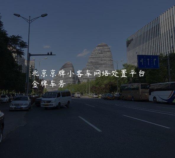 北京京牌小客车网络处置平台