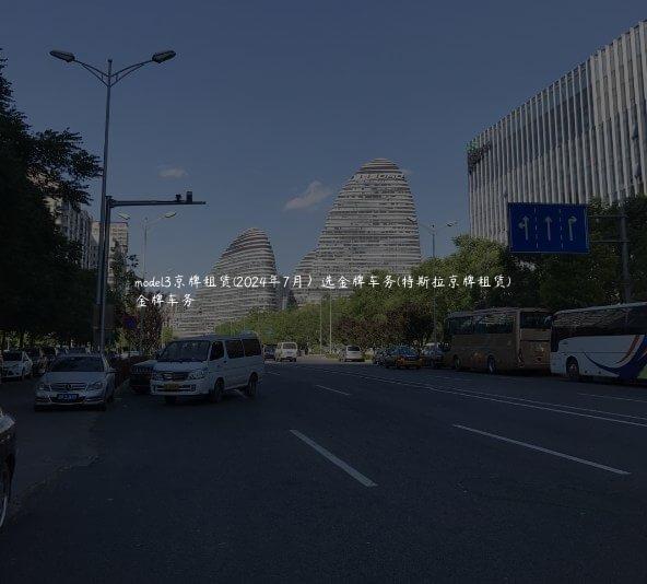 model3京牌租赁(2024年7月）选金牌车务(特斯拉京牌租赁)