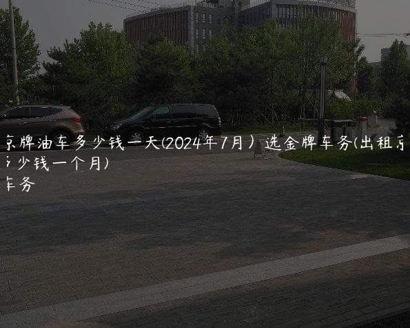 出租京牌油车多少钱一天(2024年7月）选金牌车务(出租京牌多少钱一个月)