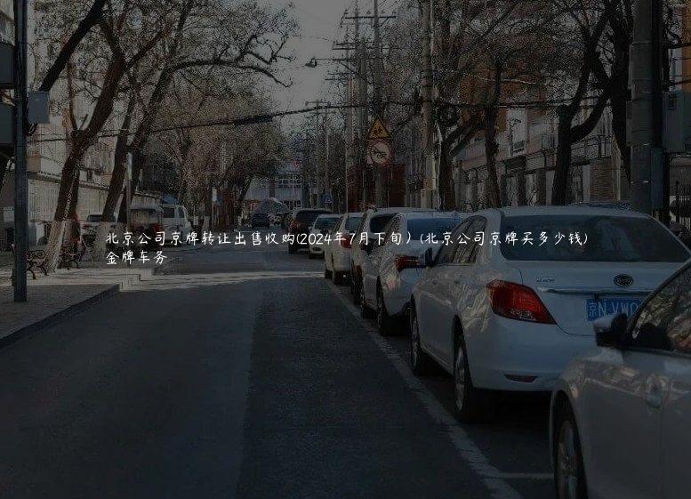 北京公司京牌转让出售收购(2024年7月下旬）(北京公司京牌买多少钱)