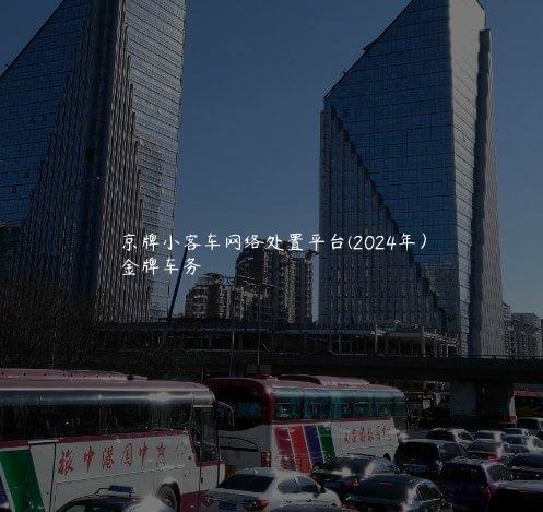 京牌小客车网络处置平台(2024年）