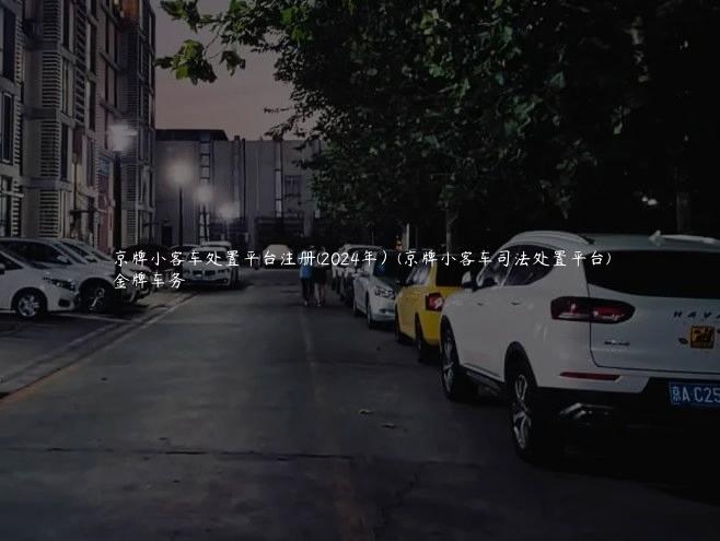 京牌小客车处置平台注册(2024年）(京牌小客车司法处置平台)