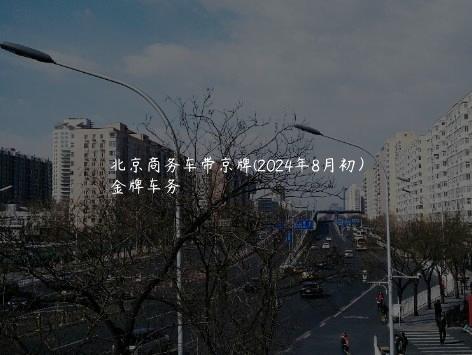 北京商务车带京牌(2024年8月初）