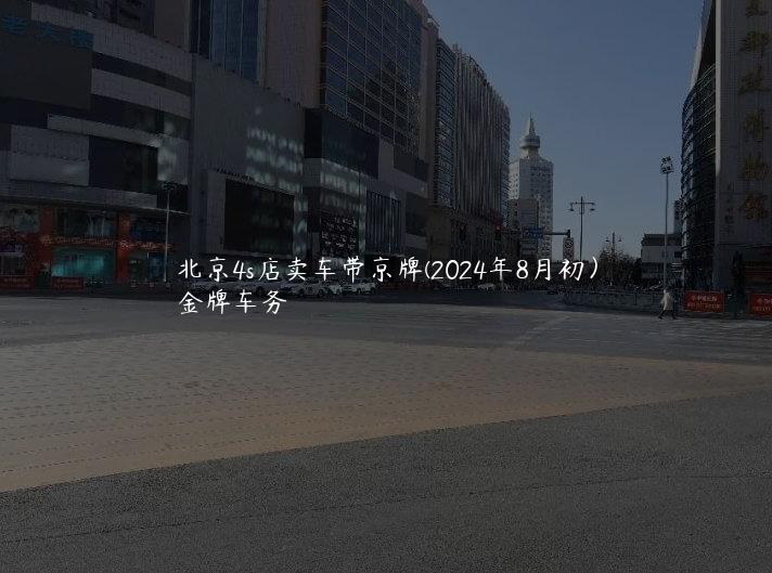 北京4s店卖车带京牌(2024年8月初）