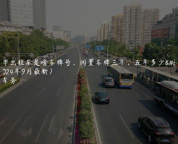 北京市出租车是啥车牌号、闲置车牌三年、五年多少钱呢(2024年9月最新）