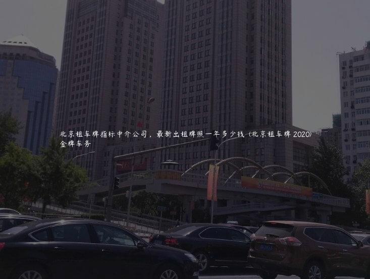 北京租车牌指标中介公司，最新出租牌照一年多少钱  (北京租车牌 2020)