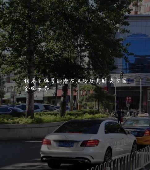 租用车牌号的潜在风险及其解决方案