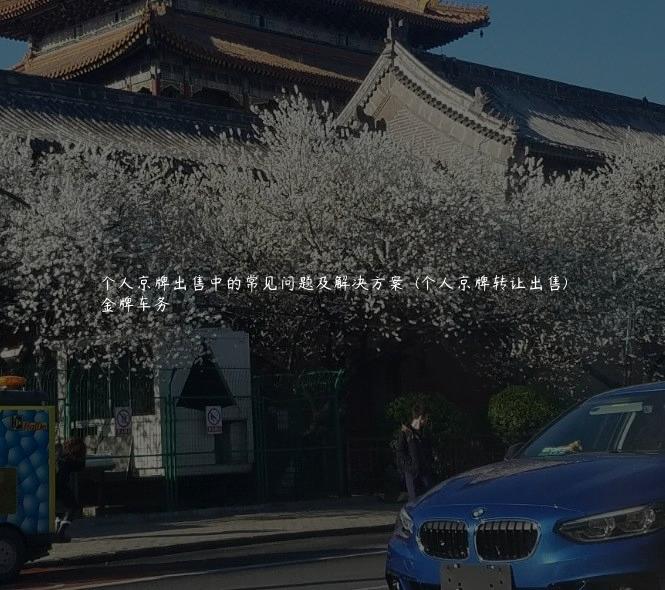 个人京牌出售中的常见问题及解决方案  (个人京牌转让出售)