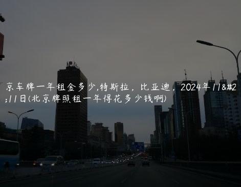 北京车牌一年租金多少,特斯拉，比亚迪，2024年11月11日(北京牌照租一年得花多少钱啊)