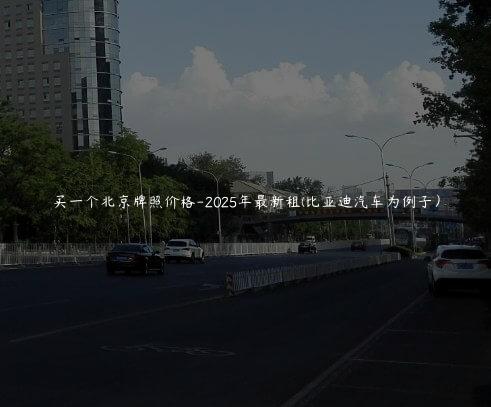 买一个北京牌照价格-2025年最新租(比亚迪汽车为例子）