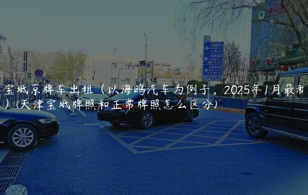 宝坻京牌车出租（以海鸥汽车为例子，2025年1月最新）(天津宝坻牌照和正常牌照怎么区分)