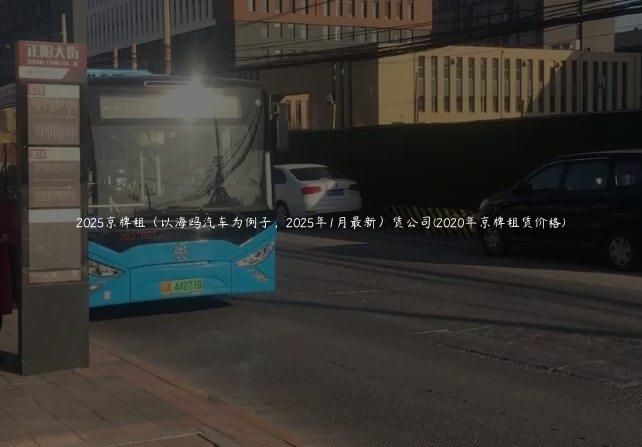 2025京牌租（以海鸥汽车为例子，2025年1月最新）赁公司(2020年京牌租赁价格)