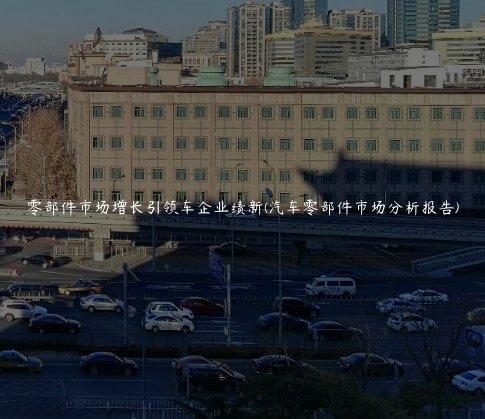 零部件市场增长引领车企业绩新(汽车零部件市场分析报告)