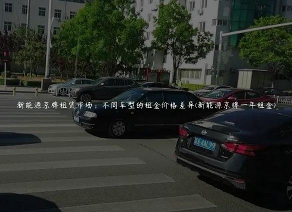 新能源京牌租赁市场：不同车型的租金价格差异(新能源京牌一年租金)