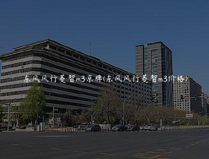 东风风行菱智m3京牌(东风风行菱智m3价格)