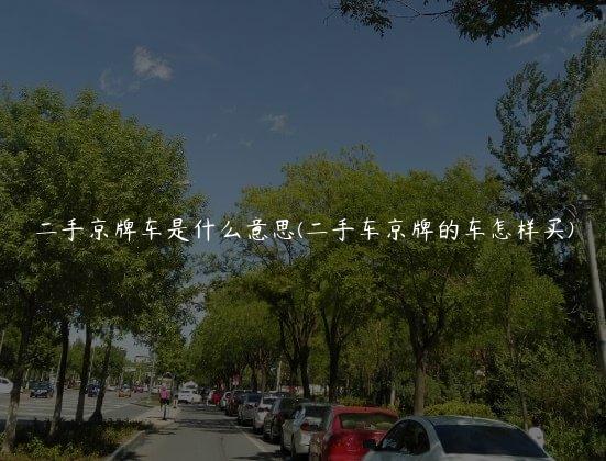 二手京牌车是什么意思(二手车京牌的车怎样买)