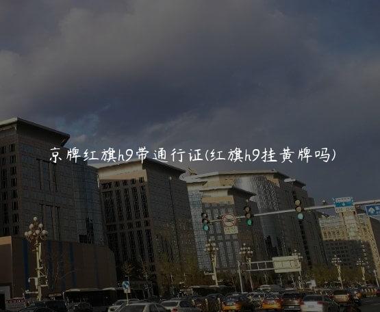 京牌红旗h9带通行证(红旗h9挂黄牌吗)
