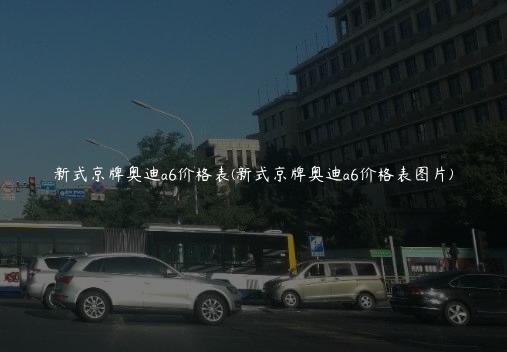 新式京牌奥迪a6价格表(新式京牌奥迪a6价格表图片)